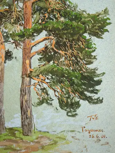 Themistokles von Eckenbrecher (1842-1921), Norwegischer Kiefernhain, 1901