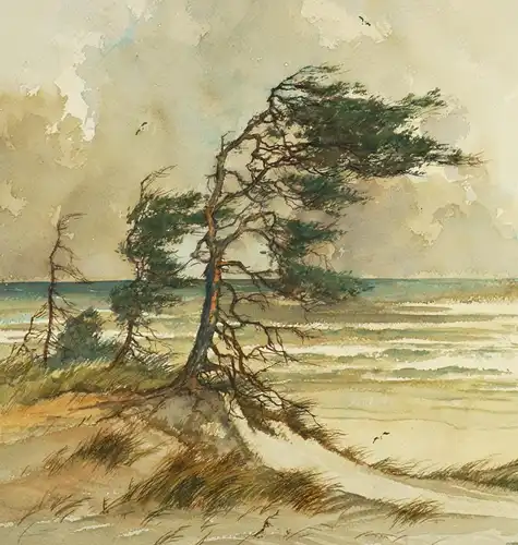 Theodor Scheerbaum (1897 Reichenbach), Windflüchter an der Ostsee, 1955