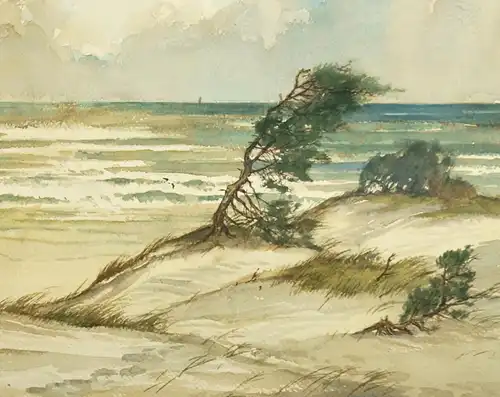 Theodor Scheerbaum (1897 Reichenbach), Windflüchter an der Ostsee, 1955