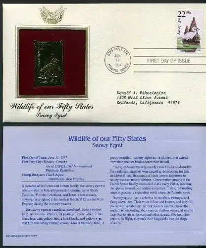 USA 1918 Vögel Goldmarke Ersttagesbrief/FDC #Vög787