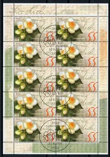 Bund Zehnerbogen 2414 Bonn, Blumen Ersttagssonderstempel #IT669