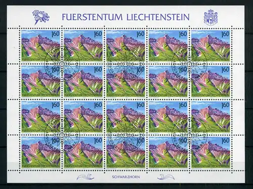 Liechtenstein Kleinbogen 1038 Berge Ersttagssonderstempel #JG447