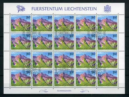 Liechtenstein Kleinbogen 1038 Berge Ersttagssonderstempel #JG447