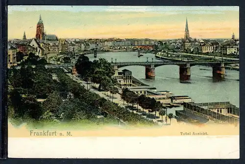 AK Frankfurt/ Main Stadtansicht über den Main, coloriert 1905 #O5839