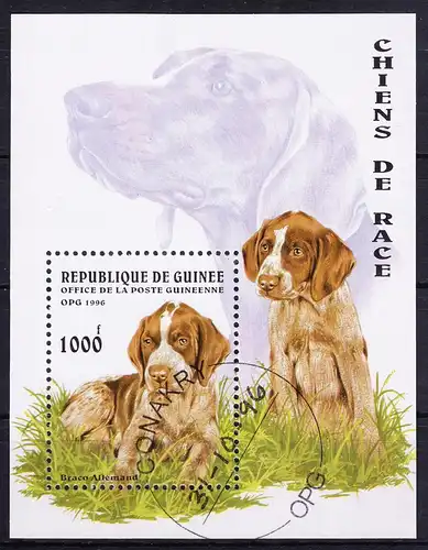 Guinea Block 503 mit 1602 gestempelt Hunde #RE094