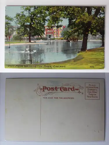 AK Chicago Illinois Duck Pond Washington Park 1911 #PA443