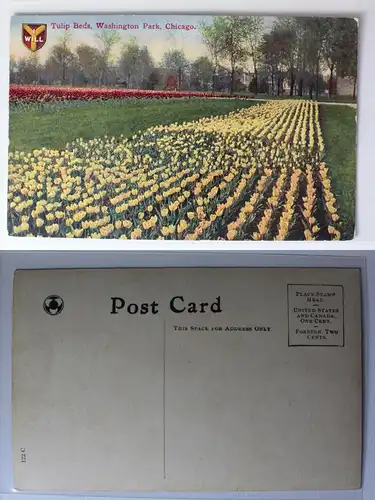 AK Chicago Illinois Tulip Beds Washington Park #PA442