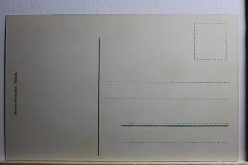 AK Zürich Alte Schipfe Fluß mit Totalansicht #PB384