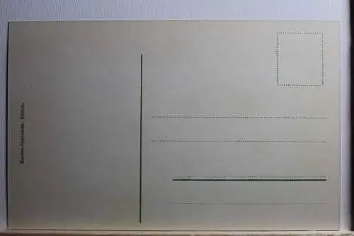 AK Zürich Alte Schipfe Fluß mit Totalansicht #PB384