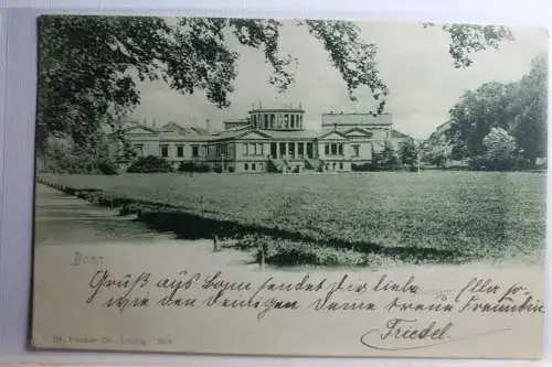 AK Bonn Museum 1900 #PD298