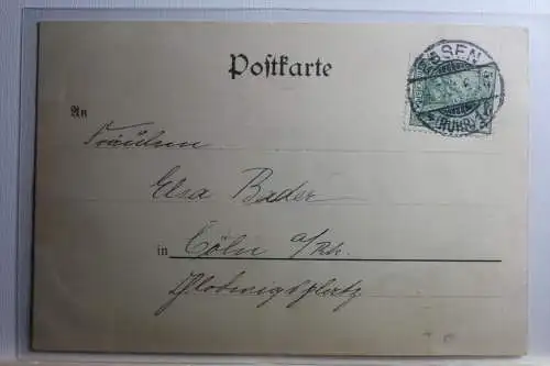 AK Essen Stadtgarten #PD301