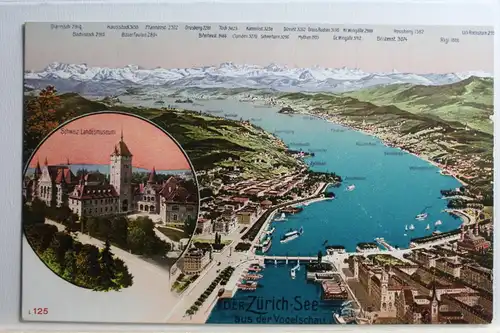AK Zürich der See aus der Vogelschau, Schweiz Landesmuseum #PC424
