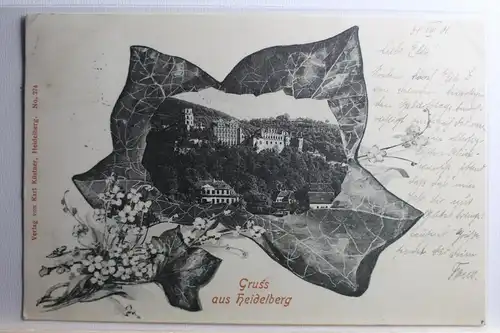 AK Heidelberg Altstadt und Schloss 1901 #PD293