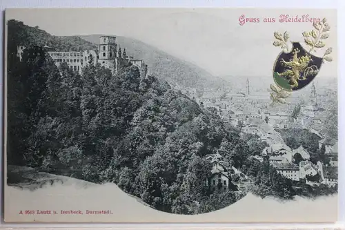 AK Heidelberg Schloss und Stadt #PC409