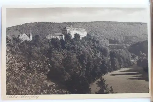 AK Schwarzburg Schloss mit Hirschwiese #PD329