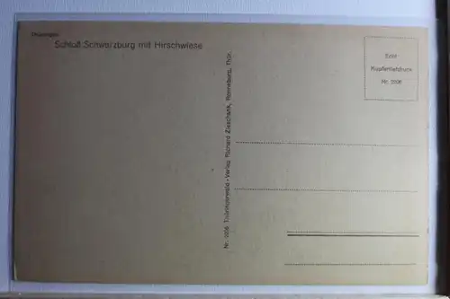 AK Schwarzburg Schloss mit Hirschwiese #PD329