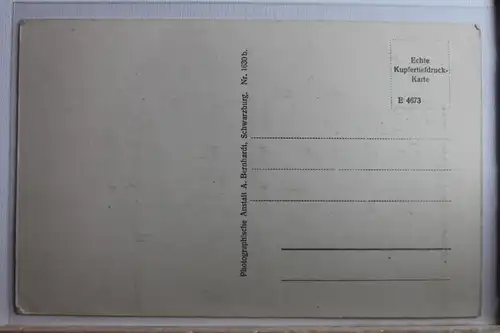 AK Schwarzburg (Thü. Wald) Der Weiße Hirsch #PD391