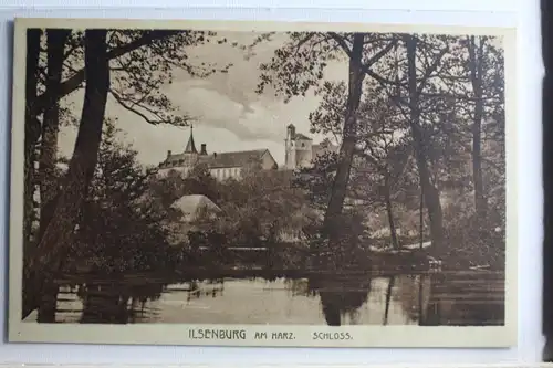 AK Ilsenburg (Harz) Schloss #PD876