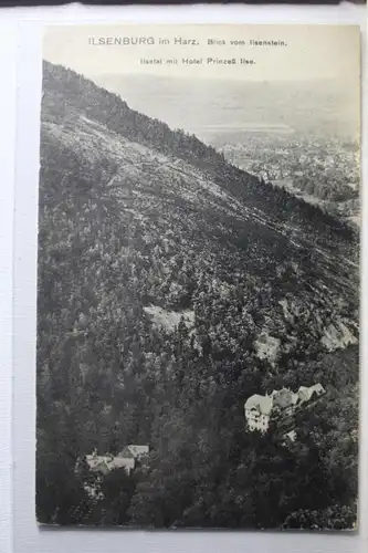 AK Ilsenburg (Harz) Ilsenttal mit Hotel Prinzeß Ilse 1924 #PD860