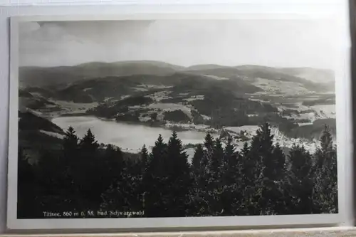 AK Titisee (Schwarzwald) 800 m ü. M. 1934 #PD940