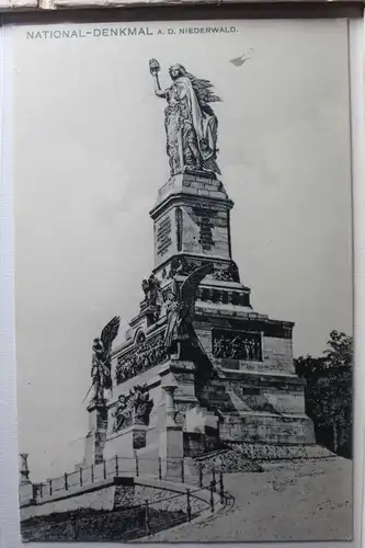 AK Rüdesheim Nationaldenkmal #PE414