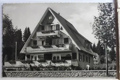 AK Titisee (Schwarzwald) Haus Seefrieden #PE517