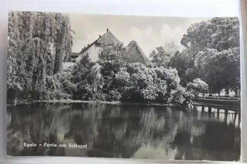 AK Egeln Partie am Volksgut 1959 #PF651