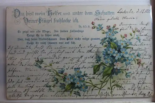 AK Deutschland Grußkarte 1905 #PF569