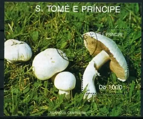 Sao Tome e Principe Block 284 gestempelt Pilze #GZ521