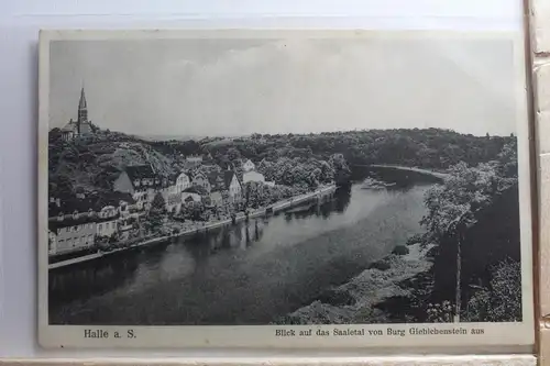 AK Halle a. S. Blick von Burg Giebichenstein aus 1930 #PG356
