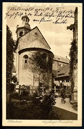 AK Hildesheim 100jähriger Rosenstock vor Kirche 1918 #HE301