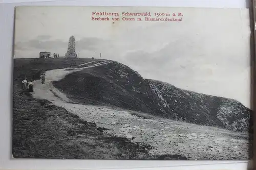 AK Feldberg (Schwarzwald) 1500 ü. M. - Seebuck von Osten #PG563