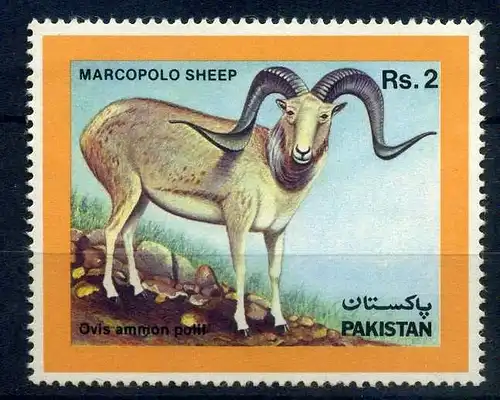 Pakistan 681 postfrisch Schafe #HS060