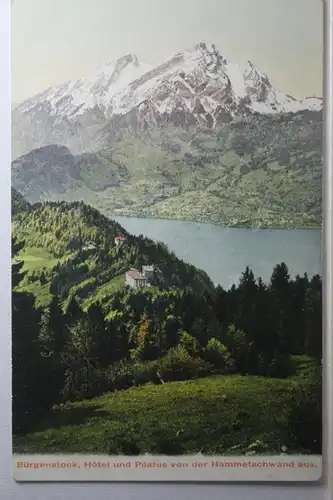 AK Bürgenstock Hotel und Pilatus von der Hammetschwand aus #PH026