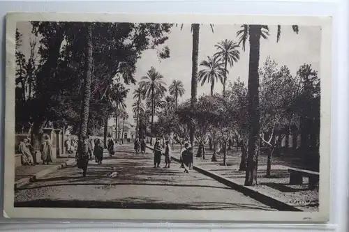 AK Laghouat Algerien Ortsansicht #PH335