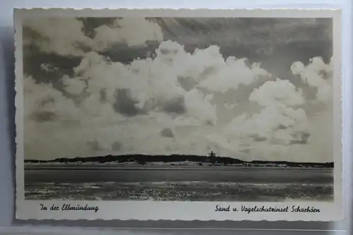 AK Vogelschutzinsel Schachörn In der Elbmündung #PH277