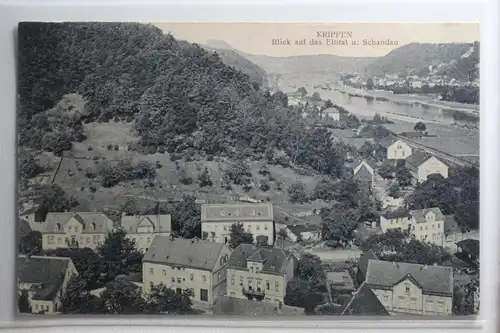 AK Krippen Blick auf das Elbtal u. Schandau 1915 #PH367