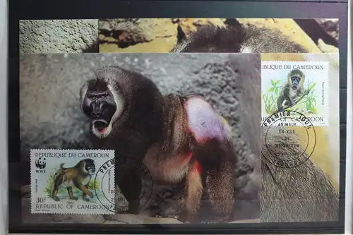 Kamerun 1155-1158 gestempelt als FDC #TU403