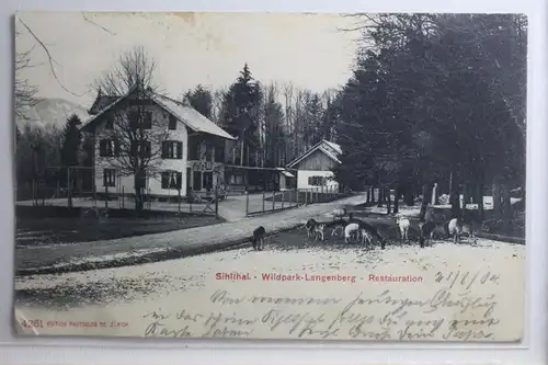 AK Sihltal Wildpark-Langenberg - Restauration 1904 #PH425