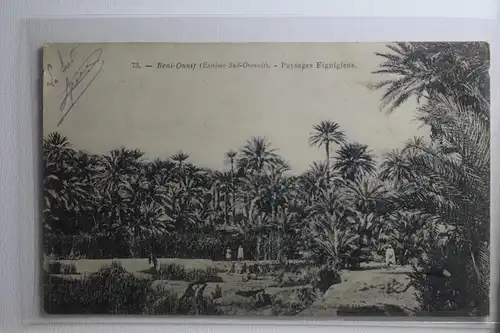 AK Algerien Beni-Qunit - Paysages Figuigiens 1904 #PH548