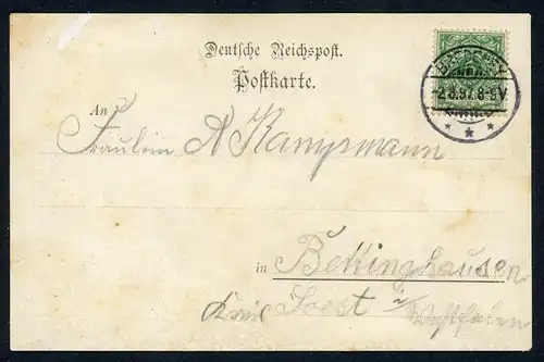 AK Bredeney Essen Luftkurhaus Ruhrstein Besitzer Wilhelm Hartmann 1897 #HU384