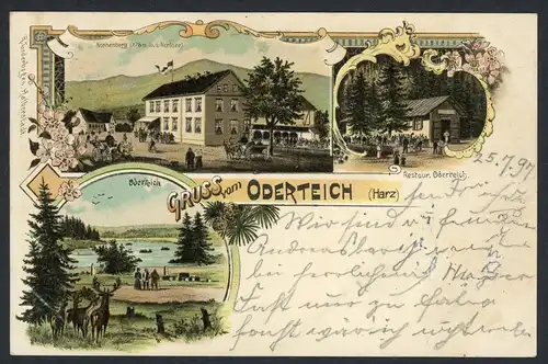 AK Oderteich, Harz Hotel Sonnenberg, Restaurant Oderteich 1897 #HU429
