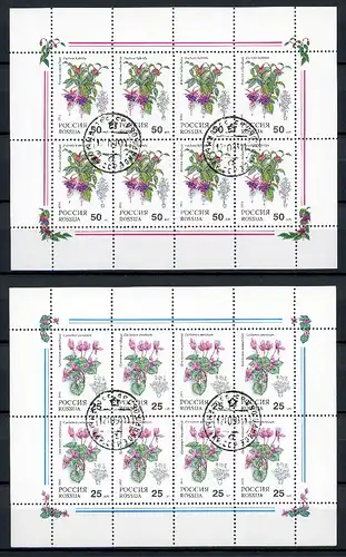 Russland Kleinbogen 298-299 gestempelt Blumen #HX210