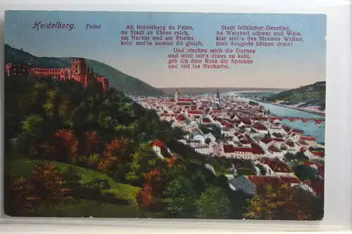AK Heidelberg Total 1924 #PI095