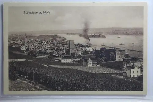 AK Rüdesheim am Rhein Ortsansicht #PI299