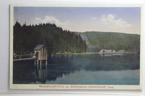 AK Goslar Grumbacherteich bei Hahnenklee-Bockswiese 1924 #PI386
