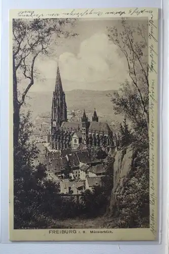 AK Freiburg i. B. Münsterblick 1911 #PI522