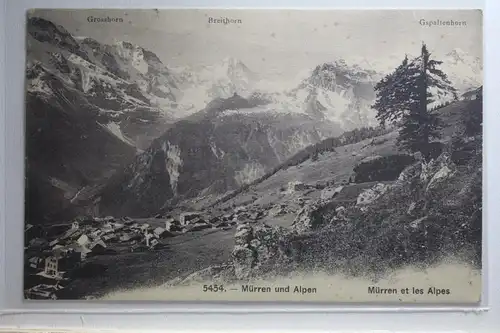 AK Mürren und Alpen 1909 #PI554