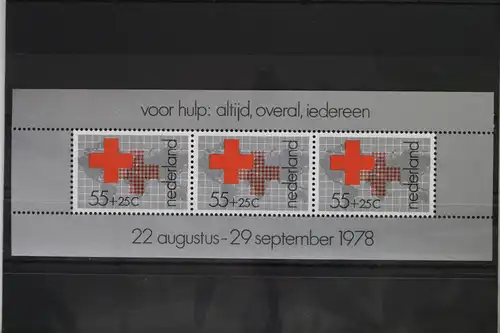 Niederlande Block 18 mit 1125 postfrisch #UV237