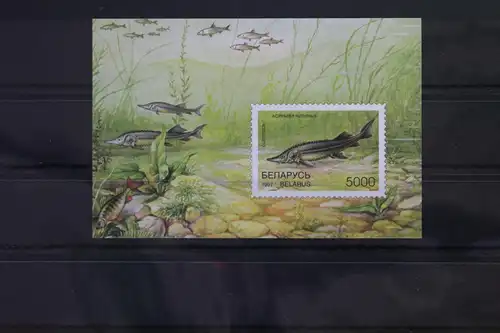 Weißrußland Block 15 mit 221 postfrisch #UY542